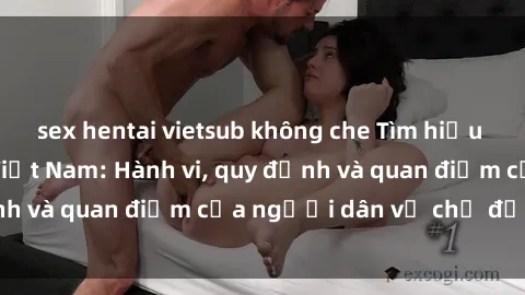 sex hentai vietsub không che Tìm hiểu về văn hóa sex ở Việt Nam: Hành vi, quy định và quan điểm của người dân về chủ đề nóng